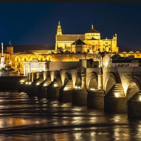 Tinte 8 Cordoba