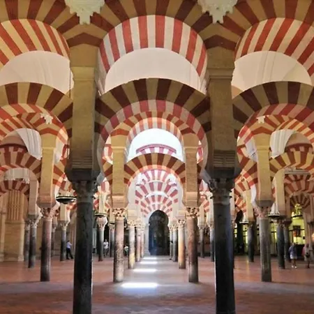 Tinte 8 * Cordoba